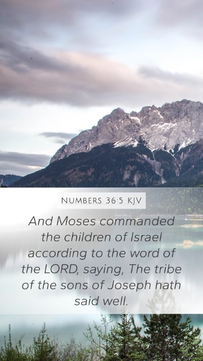 Numbers 36:5 KJV Bible Verse Image