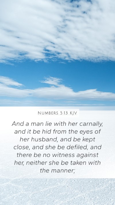 Numbers 5:13 KJV Mobile Phone Wallpaper - And a man lie with her carnally, and it be hid - Mobile Bible Verse Wallpaper