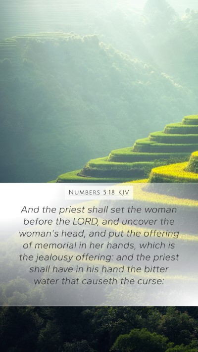 Numbers 5:18 KJV Bible Verse Image