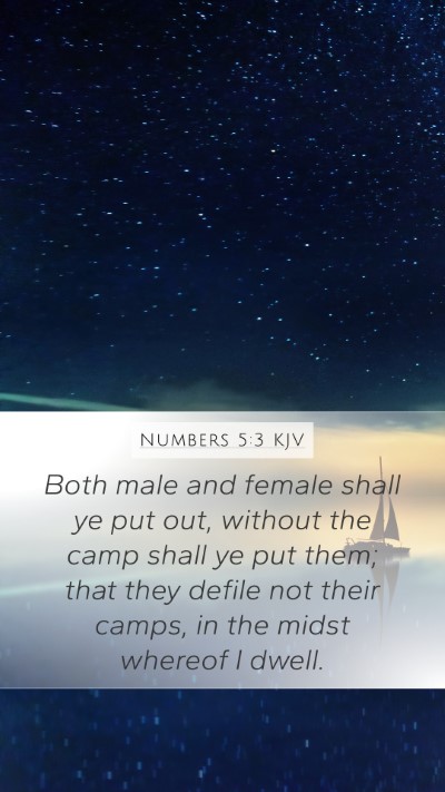 Numbers 5:3 KJV Mobile Phone Wallpaper - Both male and female shall ye put out, without - Mobile Bible Verse Wallpaper