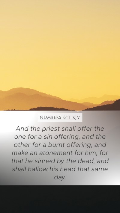 Numbers 6:11 KJV Mobile Phone Wallpaper - And the priest shall offer the one for a sin - Mobile Bible Verse Wallpaper