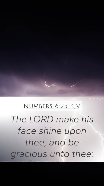 Numbers 6:25 KJV Bible Verse Image