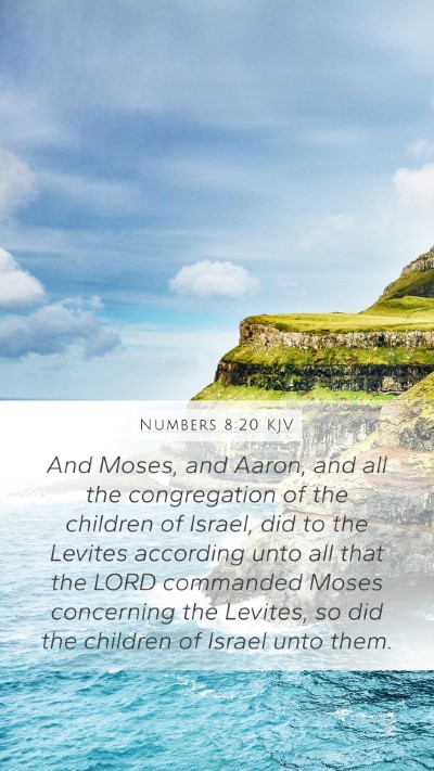 Numbers 8:20 KJV Bible Verse Image