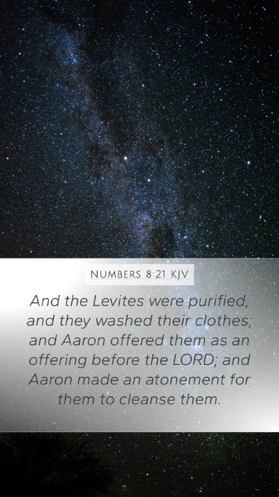 Numbers 8:21 KJV Bible Verse Image