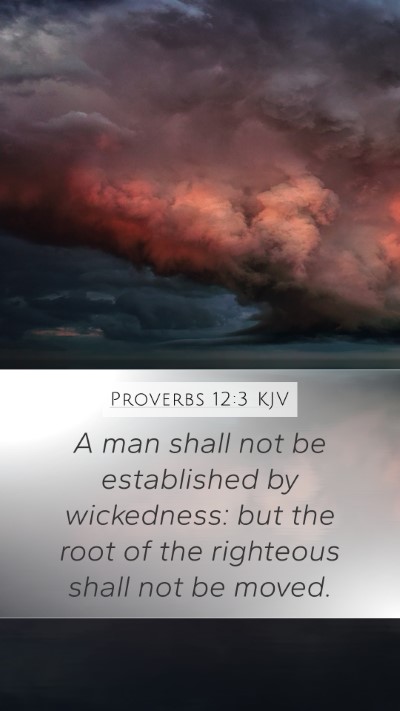 Proverbs 12:3 KJV Bible Verse Image