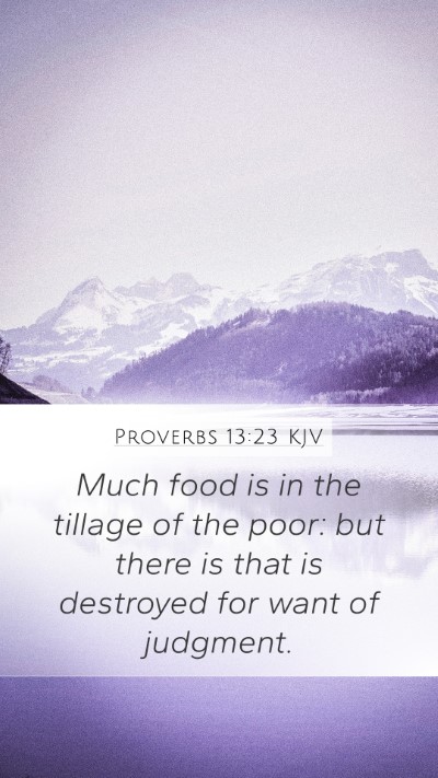 Proverbs 13:23 KJV Bible Verse Image
