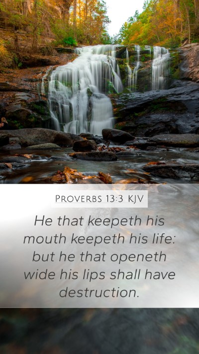 Proverbs 13:3 KJV Mobile Phone Wallpaper - He that keepeth his mouth keepeth his life: but - Mobile Bible Verse Wallpaper