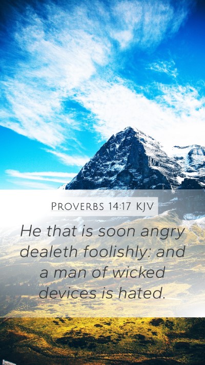 Proverbs 14:17 KJV Bible Verse Image