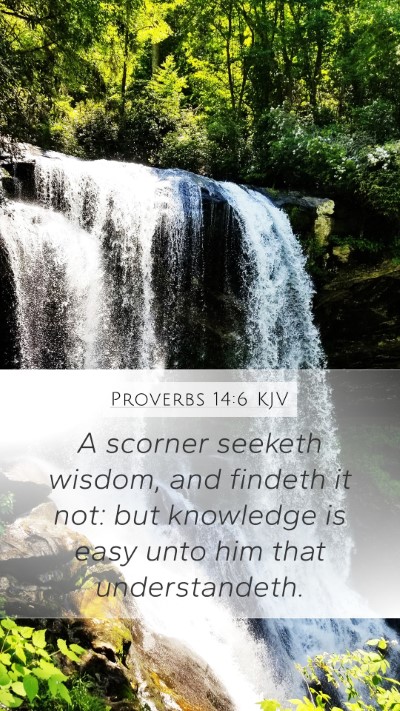 Proverbs 14:6 KJV Bible Verse Image