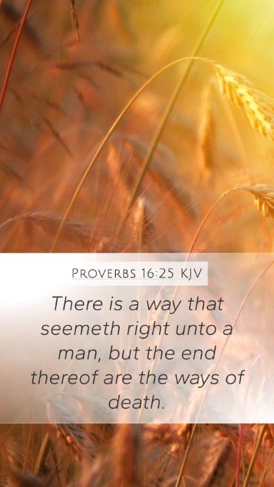 Proverbs 16:25 KJV Bible Verse Image