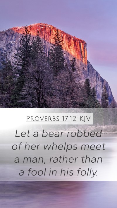 Proverbs 17:12 KJV Bible Verse Image