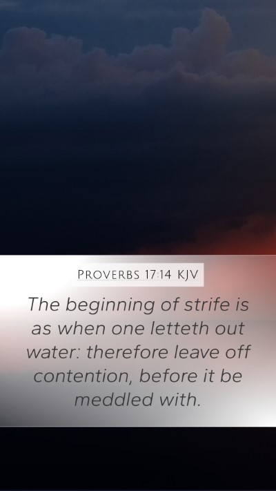 Proverbs 17:14 KJV Bible Verse Image