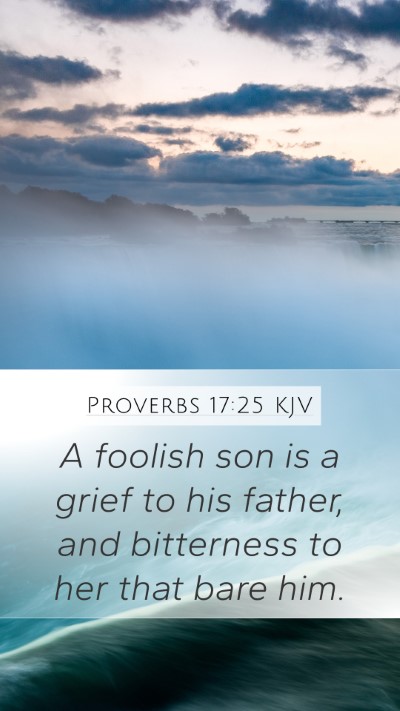 Proverbs 17:25 KJV Bible Verse Image