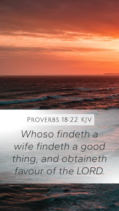 Proverbs 18:22 KJV Bible Verse Image