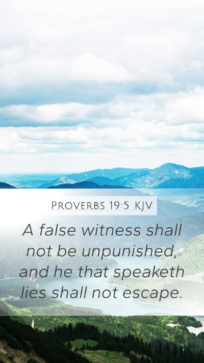 Proverbs 19:5 KJV Bible Verse Image