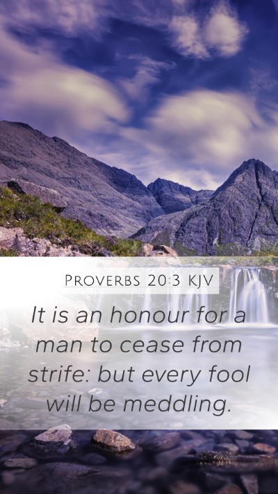 Proverbs 20:3 KJV Bible Verse Image