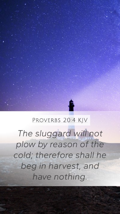Proverbs 20:4 KJV Bible Verse Image