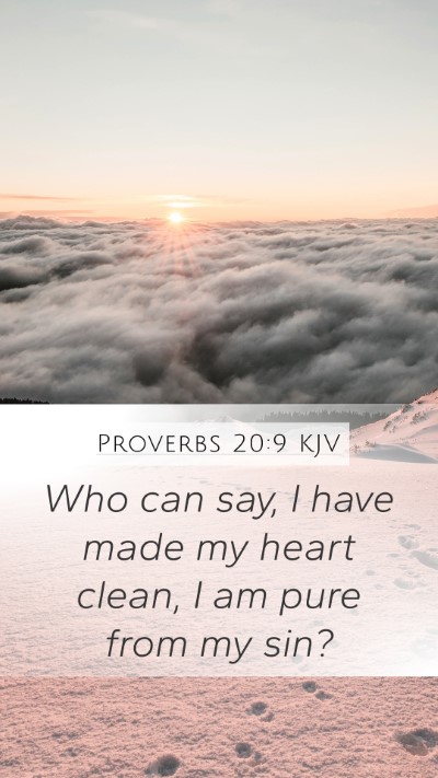 Proverbs 20:9 KJV Bible Verse Image