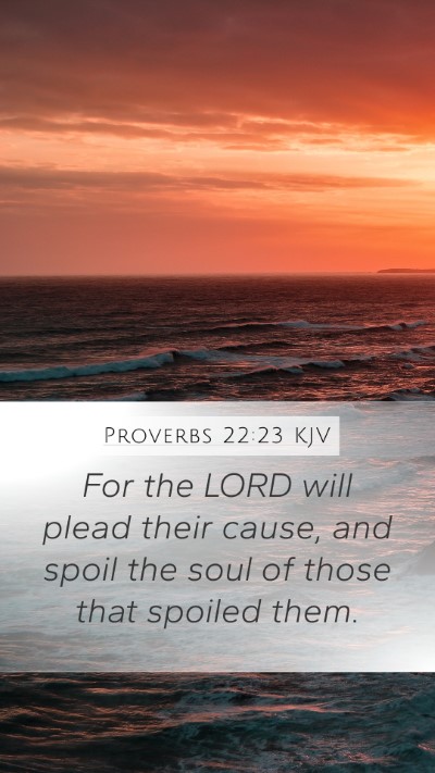 Proverbs 22:23 KJV Bible Verse Image