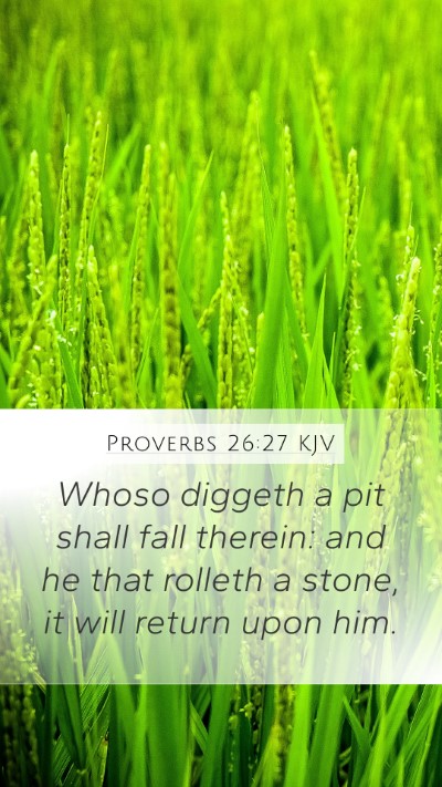 Proverbs 26:27 KJV Bible Verse Image