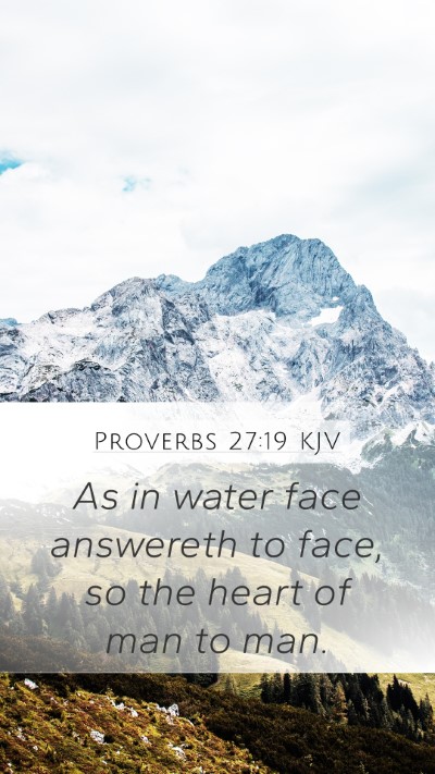 Proverbs 27:19 KJV Bible Verse Image