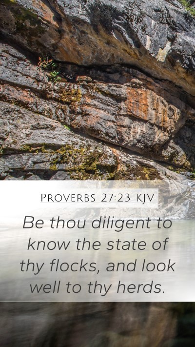Proverbs 27:23 KJV Bible Verse Image