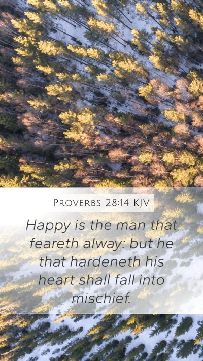 Proverbs 28:14 KJV Bible Verse Image