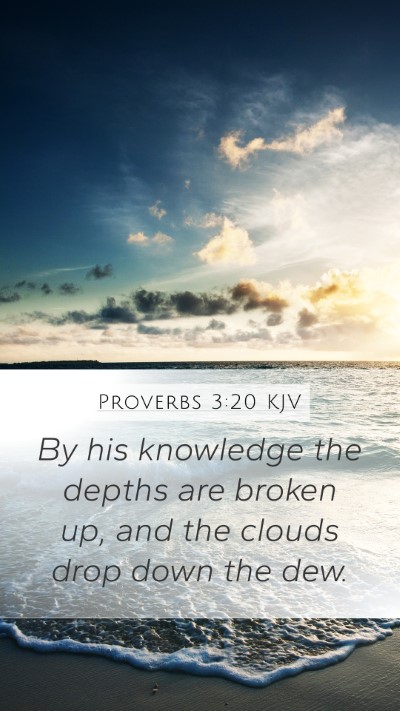 Proverbs 3:20 KJV Bible Verse Image