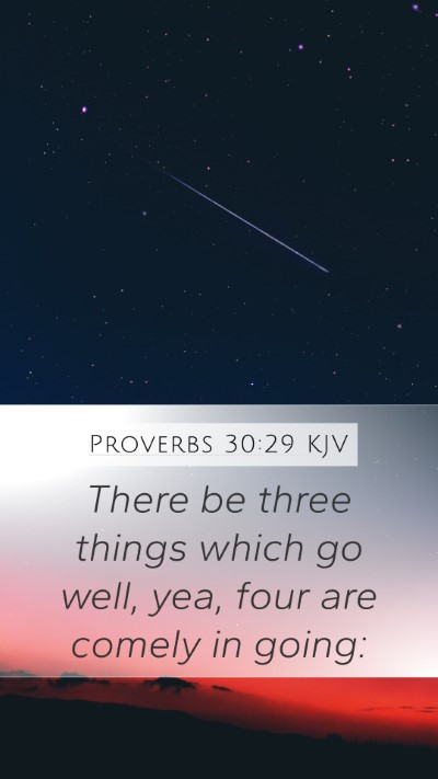 Proverbs 30:29 KJV Bible Verse Image