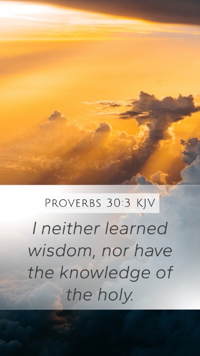 Proverbs 30:3 KJV Bible Verse Image