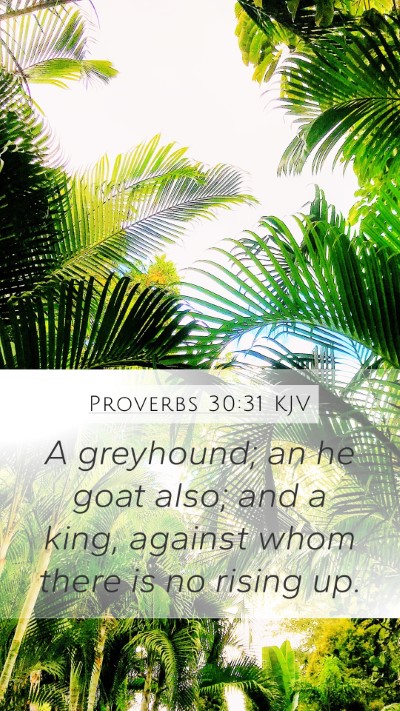 Proverbs 30:31 KJV Bible Verse Image