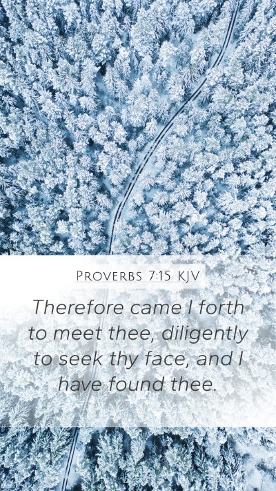Proverbs 7:15 KJV Mobile Phone Wallpaper - Therefore came I forth to meet thee, diligently - Mobile Bible Verse Wallpaper