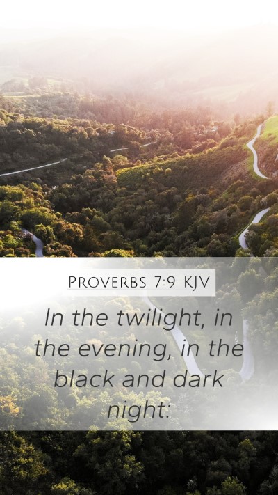 Proverbs 7:9 KJV Mobile Phone Wallpaper - In the twilight, in the evening, in the black and - Mobile Bible Verse Wallpaper