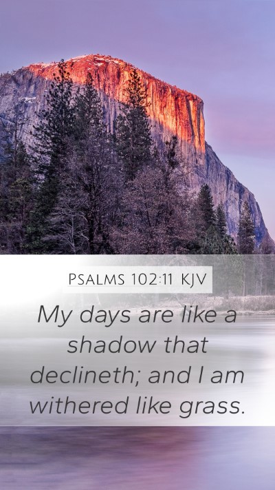 Psalms 102:11 KJV Bible Verse Image