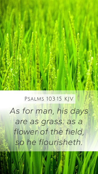 Psalms 103:15 KJV Bible Verse Image