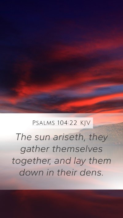 Psalms 104:22 KJV Mobile Phone Wallpaper - The sun ariseth, they gather themselves together, - Mobile Bible Verse Wallpaper