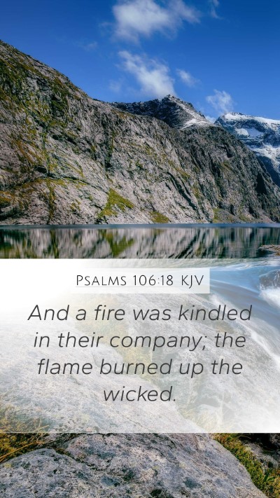 Psalms 106:18 KJV Bible Verse Image