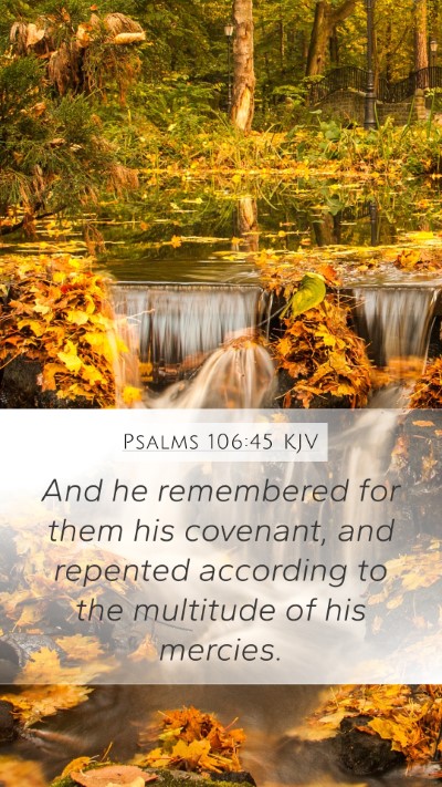 Psalms 106:45 KJV Bible Verse Image
