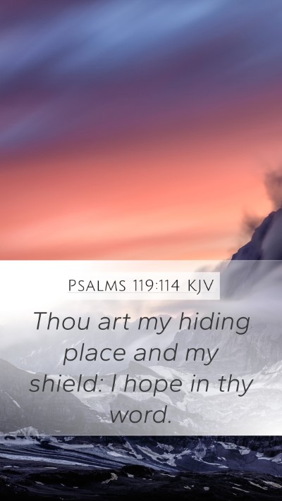 Psalms 119:114 KJV Bible Verse Image