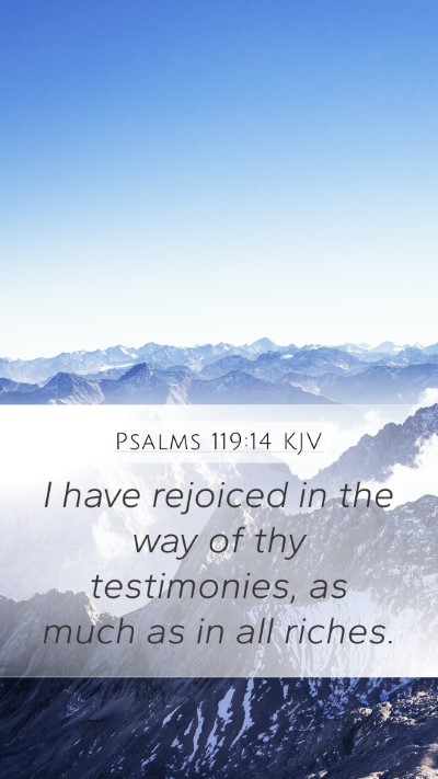 Psalms 119:14 KJV Bible Verse Image