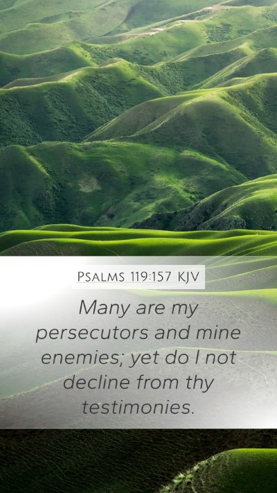 Psalms 119:157 KJV Bible Verse Image