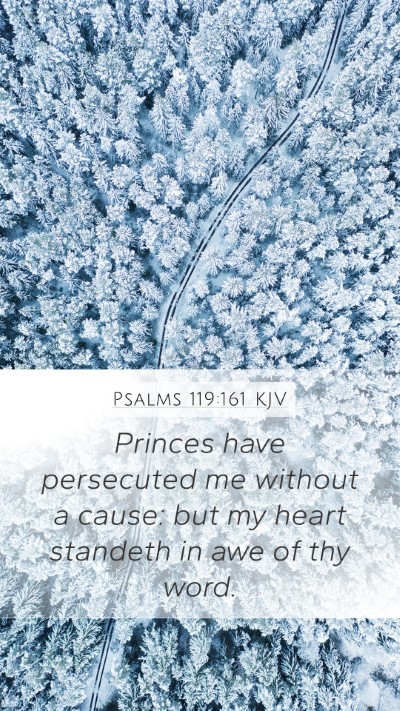 Psalms 119:161 KJV Bible Verse Image