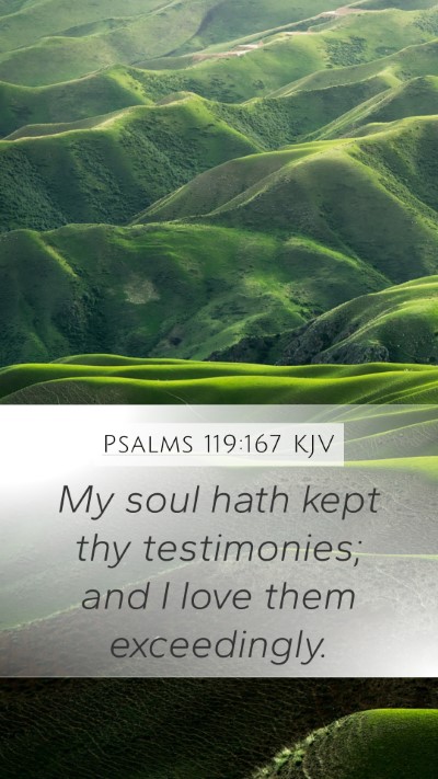 Psalms 119:167 KJV Bible Verse Image