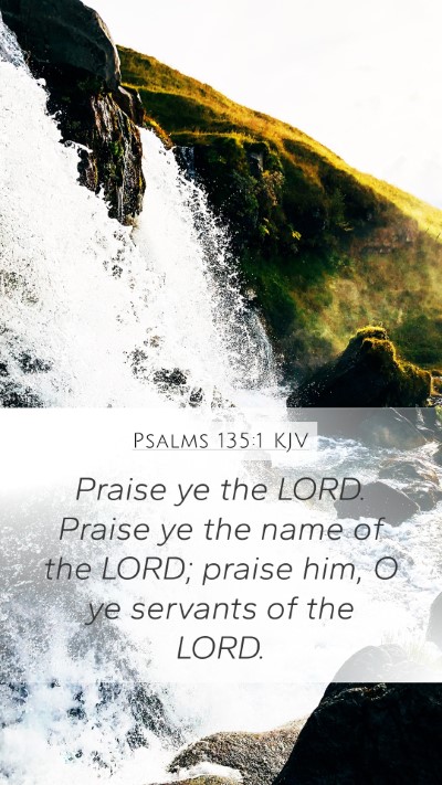 Psalms 135:1 KJV Mobile Phone Wallpaper - Praise ye the LORD. Praise ye the name of the - Mobile Bible Verse Wallpaper