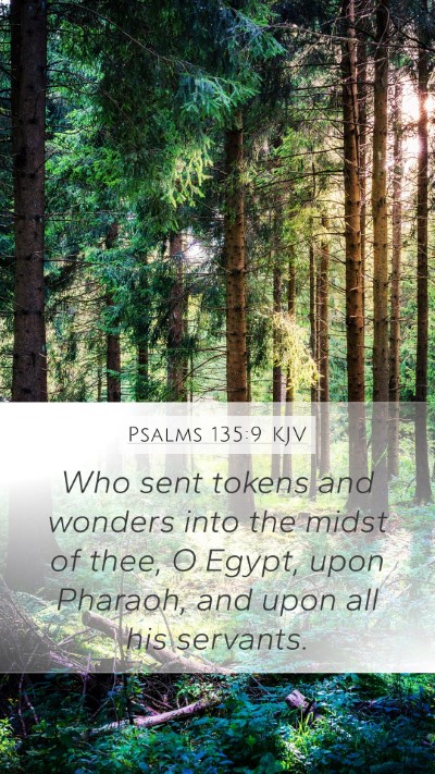 Psalms 135:9 KJV Mobile Phone Wallpaper - Who sent tokens and wonders into the midst of - Mobile Bible Verse Wallpaper