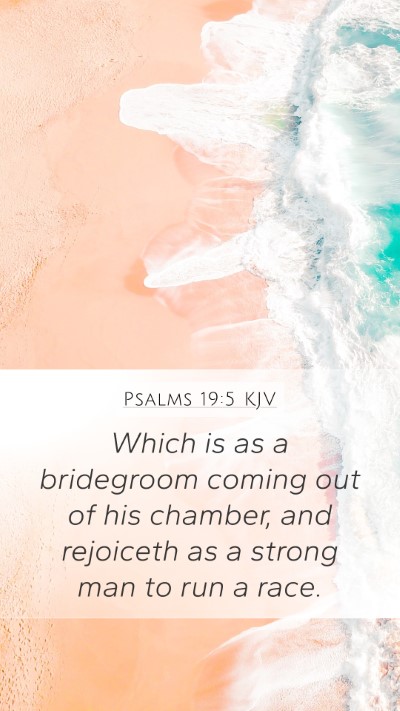 Psalms 19:5 KJV Bible Verse Image