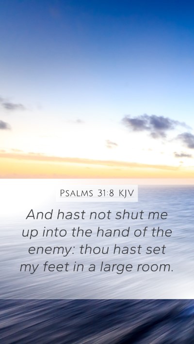 Psalms 31:8 KJV Bible Verse Image