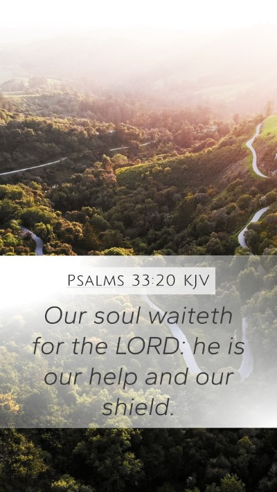Psalms 33:20 KJV Bible Verse Image