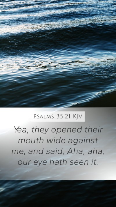 Psalms 35:21 KJV Bible Verse Image