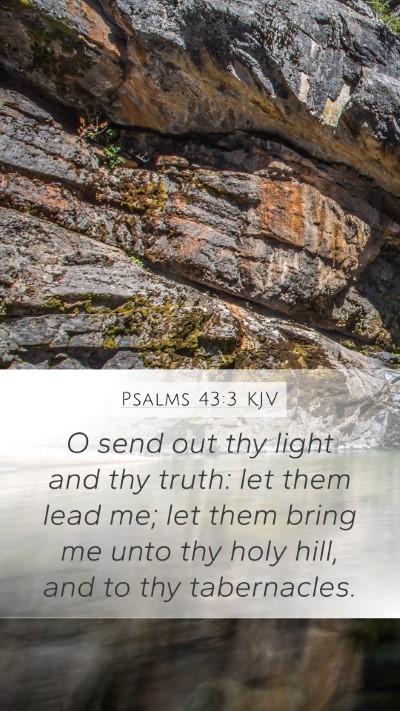 Psalms 43:3 KJV Bible Verse Image